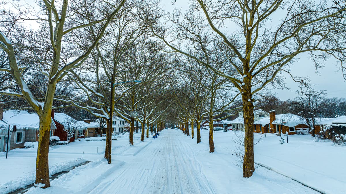 12-26-2022  - Snowy Elliot-01